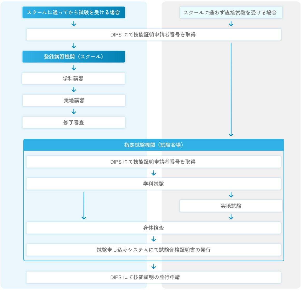 国家資格取得までの流れ